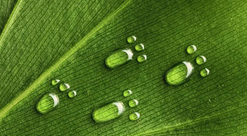 ISO 14064-2 Karbon Azaltım Projesi
