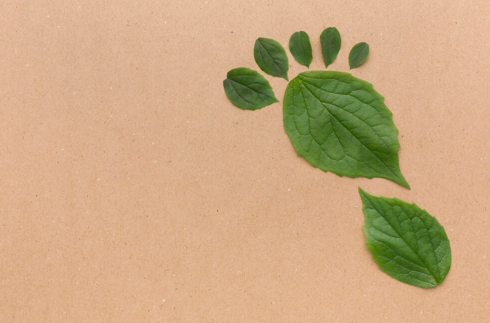 ISO 14064-1 Kurumsal Karbon Ayak İzi