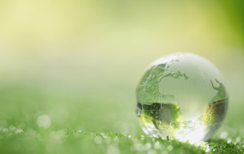 ISO 17029 Doğrulayıcı Kuruluş Genel Şartlar