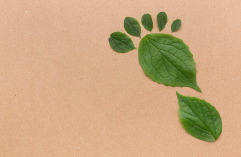 Karbon Emisyonu Hesaplama