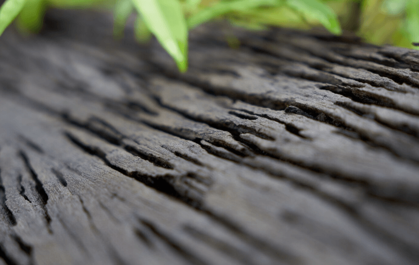 Karbon kredisi projesi