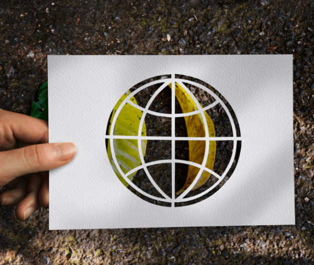 Sınırda Karbon Düzenleme Mekanizması